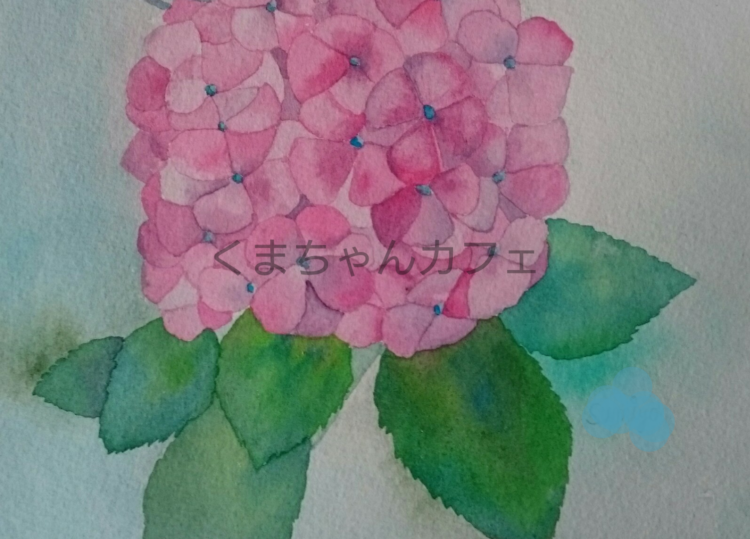 ひさびさに透明水彩画 下書きは鉛筆で紫陽花を描いてみました 水彩画と絵本の くまちゃんカフェ