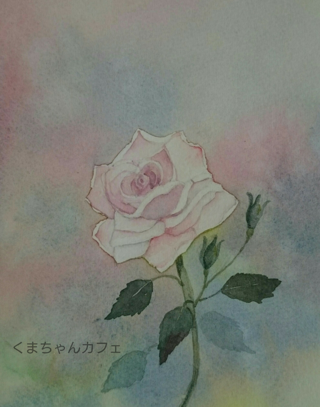 透明水彩画のエッジ問題は練習あるのみ バラの花を描きました 水彩画と絵本の くまちゃんカフェ